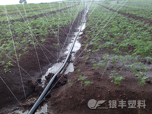 微噴帶產(chǎn)品展示