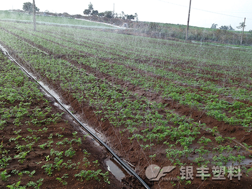 微噴帶產(chǎn)品展示