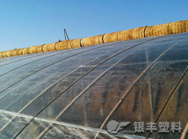 三層共擠長壽流滴消霧EVA保溫大棚膜產(chǎn)品圖片