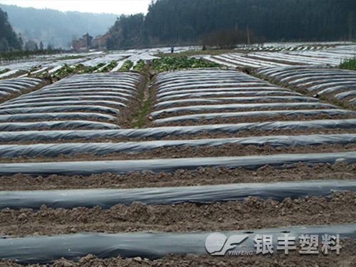 黑色地膜產(chǎn)品圖片