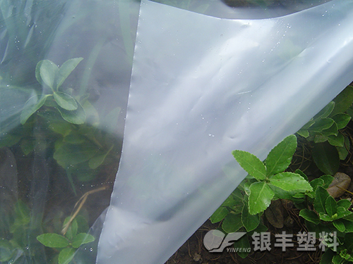 銀豐流滴雙防膜產(chǎn)品圖片