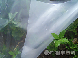 銀豐流滴雙防膜產(chǎn)品圖片