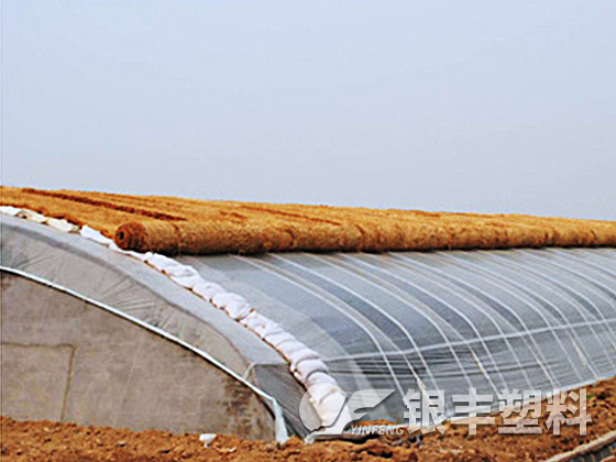 山東東阿水果基地使用EVA保溫大棚膜案例