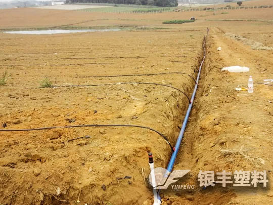 周口淮陽(yáng)滴灌帶