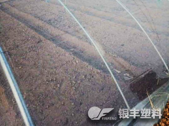 濮陽(yáng)市臺(tái)前縣po大棚膜案例