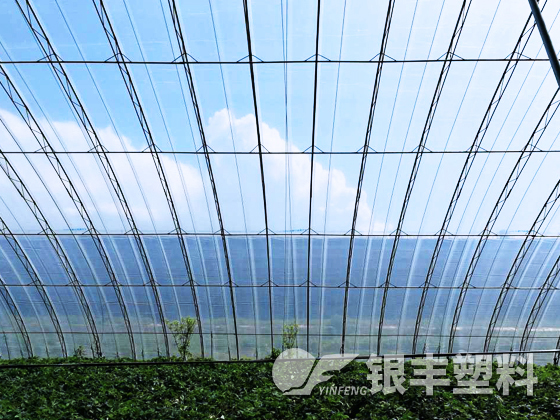 華豐牌水晶PO膜在遼寧東港