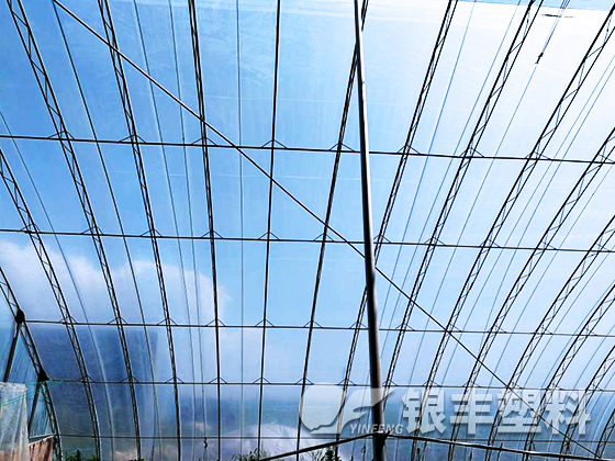 華豐牌水晶PO膜在遼寧東港